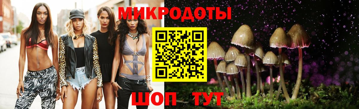 купить   Вход с VPN  Советский  Псилоцибиновые грибы Psilocybe 